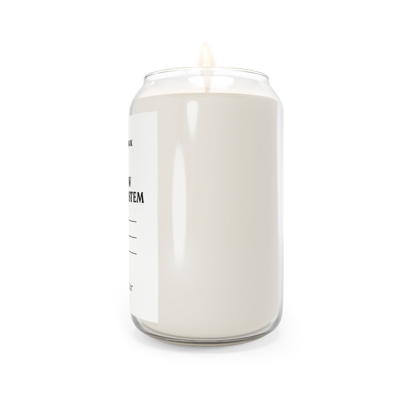 MY NEW BELIEF SYSTEM Candle 16 oz.